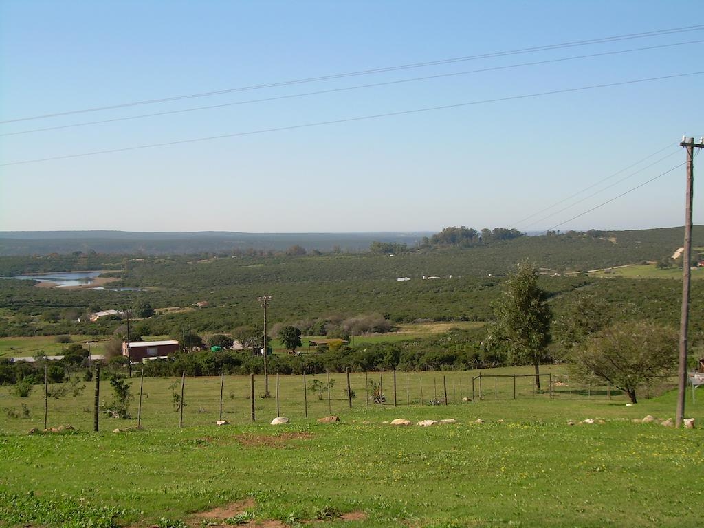 The Hexagon Wildlife Conservation Hotel Uitenhage Exterior foto